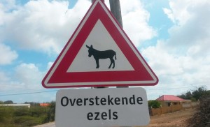 praktische informatie Bonaire
